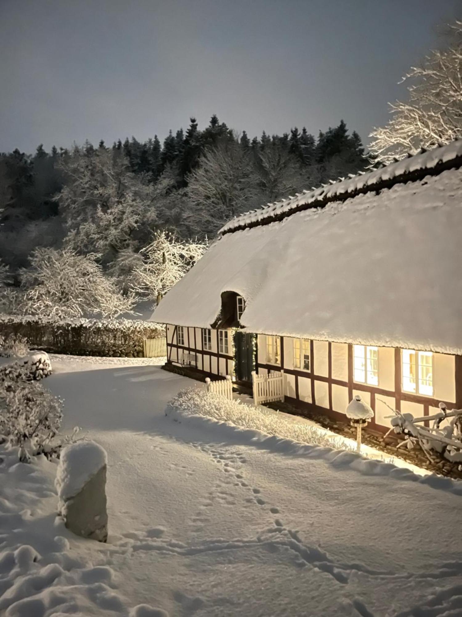 Lillemollens Bed & Breakfast Orbaek  Exteriér fotografie