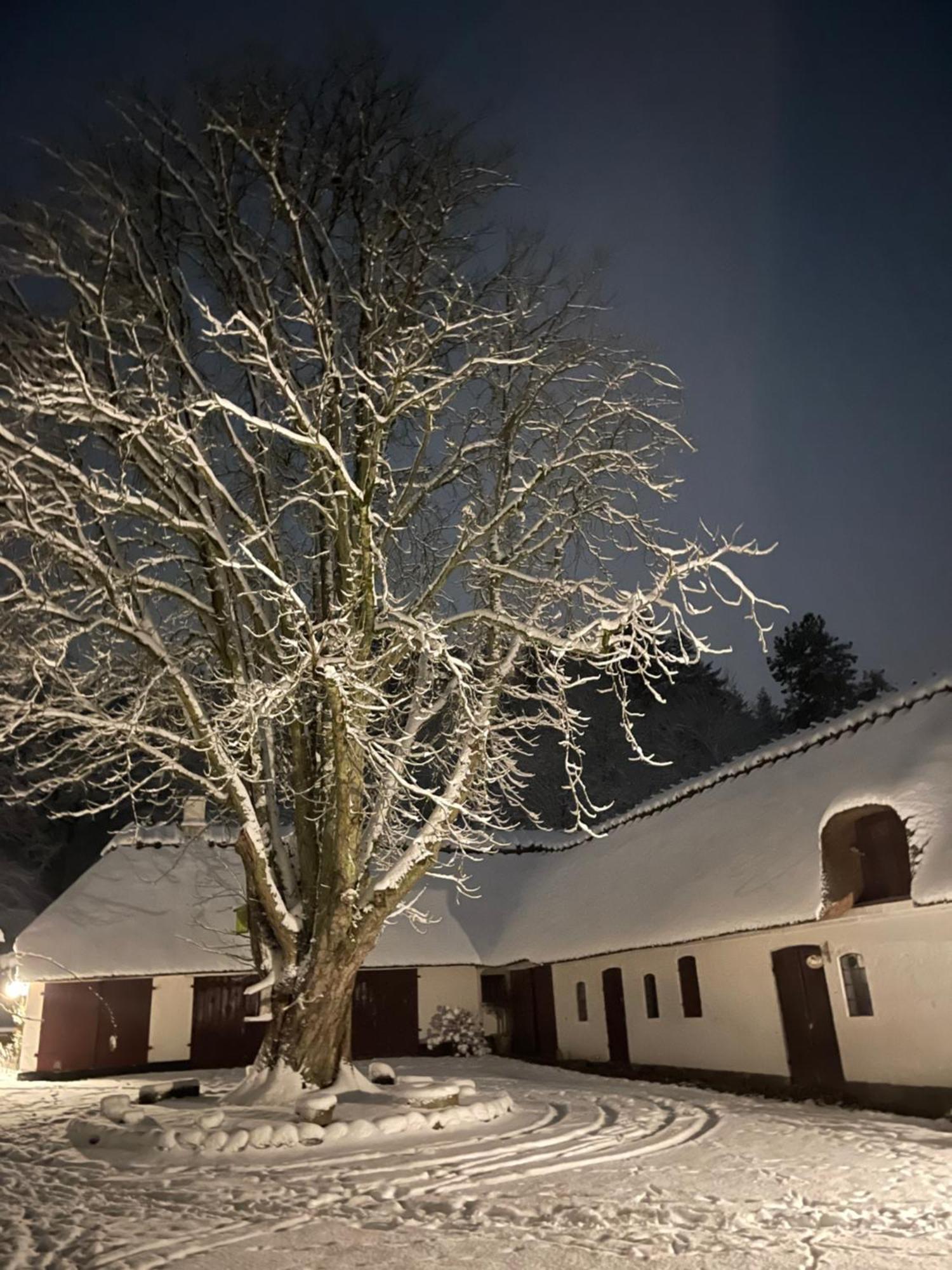 Lillemollens Bed & Breakfast Orbaek  Exteriér fotografie