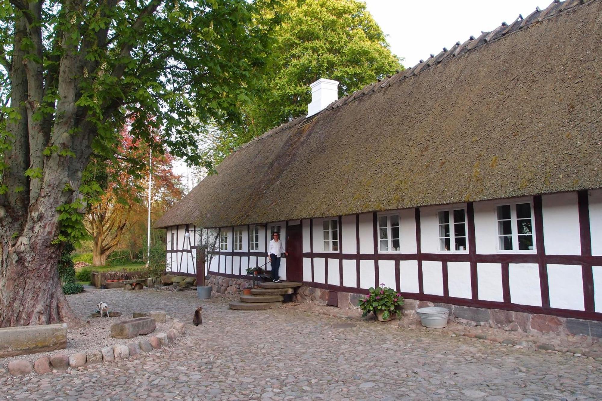 Lillemollens Bed & Breakfast Orbaek  Exteriér fotografie
